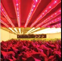 1514277337117459.jpg 108.jpg